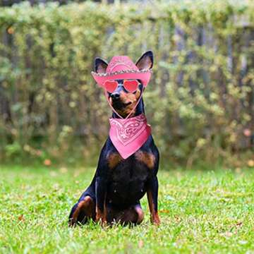 Yewong Pet Pink Cowboy Hat Costume Accessory Set Dog Cat Size Pink Cowgirl Princess Hat with Crown Tiara Bandana/Scarf Sunglasses for Cat Puppy Western Costume Daily Wearing Photo Props