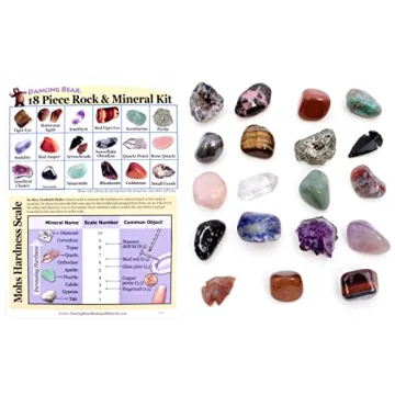 Rock & Mineral Educational Collection for Kids 18 Pieces