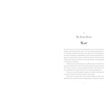 Black Beauty Children's Signature Clothbound Edition - Timeless Classic