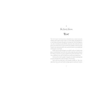 Black Beauty Children's Signature Clothbound Edition - Timeless Classic