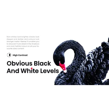 Hisense A4 Series 43-Inch Smart FHD Android TV for Every Home