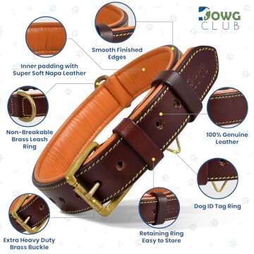 DowgClub Leather Dog Collar | Dog Collar for Large Dogs, 1.25 Inch Wide Dog Collar Brown | Genuine, Full Grain, Heavy Duty, Comfortable, Inner Soft Padding | (Large (Fit Neck Size 18.5"-22.5"), Brown)