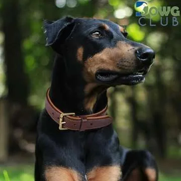 DowgClub Leather Dog Collar | Dog Collar for Large Dogs, 1.25 Inch Wide Dog Collar Brown | Genuine, Full Grain, Heavy Duty, Comfortable, Inner Soft Padding | (Large (Fit Neck Size 18.5"-22.5"), Brown)