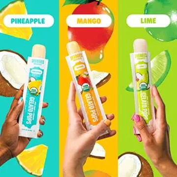DeeBee's Organics Non-Dairy Gelato Pops, Creamy Freezer Pops made with Coconut Milk, No Refined Sugar, No Artificial Flavors or Colors (Pack of 20)