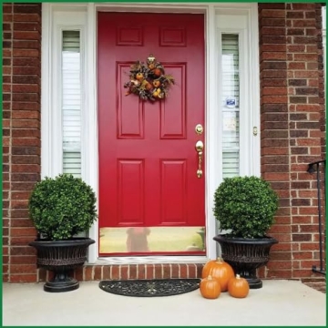 Silk Tree Warehouse Outdoor Boxwood Topiary Bushes