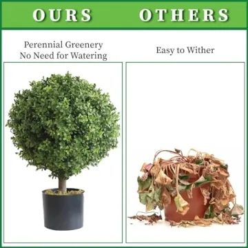 Silk Tree Warehouse Outdoor Boxwood Topiary Bushes