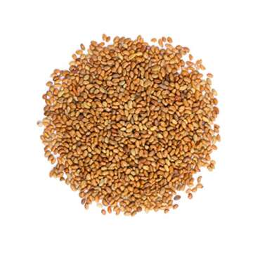 Food to Live - Organic Alfalfa Seeds for Sprouting, 8 Ounces Non-GMO, Edible Seeds, Pure, Vegan, Kosher, Bulk. Rich in Vitamin K, Vitamin C.