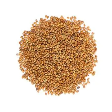 Food to Live - Organic Alfalfa Seeds for Sprouting, 8 Ounces Non-GMO, Edible Seeds, Pure, Vegan, Kosher, Bulk. Rich in Vitamin K, Vitamin C.