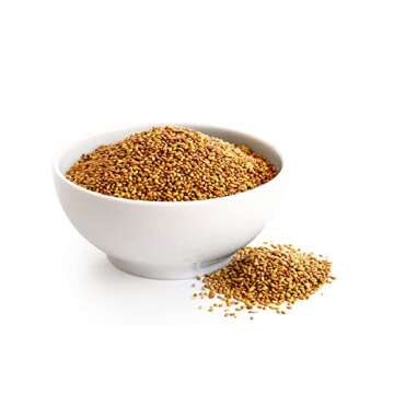 Food to Live - Organic Alfalfa Seeds for Sprouting, 8 Ounces Non-GMO, Edible Seeds, Pure, Vegan, Kosher, Bulk. Rich in Vitamin K, Vitamin C.