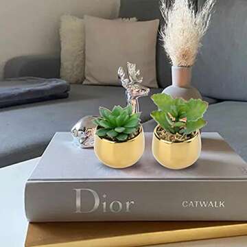 Briful Small Artificial Succulents in Pots Set of 2 Realistic Faux Succulents Plants with Gold Ceram...