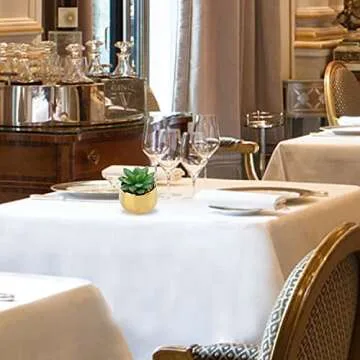 Briful Faux Succulents in Gold Pots - Stylish Home Décor