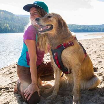 Kurgo Journey Air Dog Harness, Vest Harnesses for Dogs, Pet Hiking Harness for Running & Walking, Reflective, Padded, Includes Control Handle, No Pull Front Clip (Red, Large)