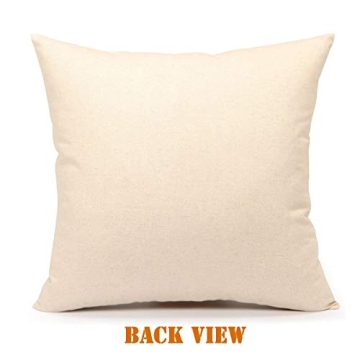 FBCOO Summer Lemonade Decorative Throw Pillow Case