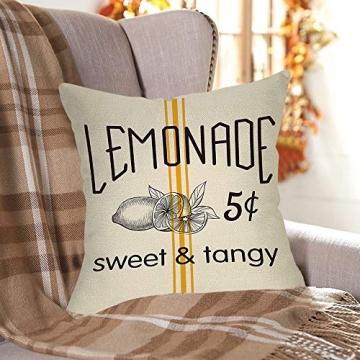 FBCOO Summer Lemonade Decorative Throw Pillow Case