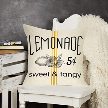FBCOO Summer Lemonade Decorative Throw Pillow Case