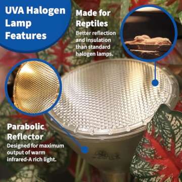 Pangea Halogen Heat Lamp for Reptiles - Warming UVA and Infrared Light for Turtles, Tortoises, Bearded Dragons, and More - Heating Bulb Terrarium Accessories, Designed for Ceramic Sockets (75 Watt)