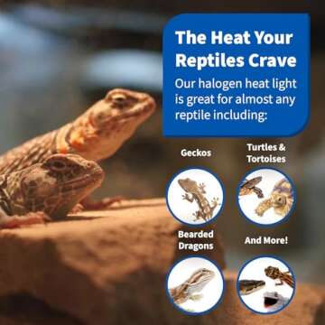 Pangea Halogen Heat Lamp for Reptiles - Warming UVA and Infrared Light for Turtles, Tortoises, Bearded Dragons, and More - Heating Bulb Terrarium Accessories, Designed for Ceramic Sockets (75 Watt)