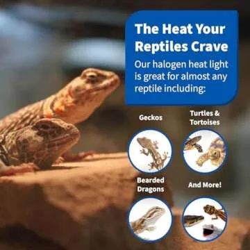 Pangea Halogen Heat Lamp for Reptiles - Warming UVA and Infrared Light for Turtles, Tortoises, Bearded Dragons, and More - Heating Bulb Terrarium Accessories, Designed for Ceramic Sockets (75 Watt)