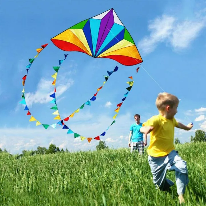 HONBO Large Easy-Fly Delta Kite for Beach Fun