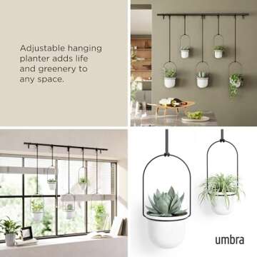 Umbra Triflora Hanging Planter for Window, Indoor Herb Garden, Set of 5, White/Black