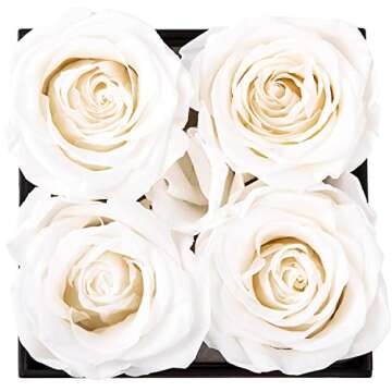 Impouo Preserved Rose,Gifts for Her, Birthday Gifts for Women, Gifts for Mom/Girlfriend/Wife/Grandma...