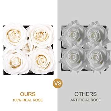 Impouo Preserved Rose,Gifts for Her, Birthday Gifts for Women, Gifts for Mom/Girlfriend/Wife/Grandma Christmas, Birthday, Valentine's Day - White Rose