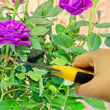 Centurion 201 Hand Pruner Pruning Shear Straight & Upward Curved Stainless Steel Blade Precision Snip (Yellow, 6.5 Inch, Set of 2)