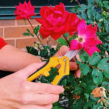 Centurion 201 Hand Pruner Pruning Shear Straight & Upward Curved Stainless Steel Blade Precision Snip (Yellow, 6.5 Inch, Set of 2)