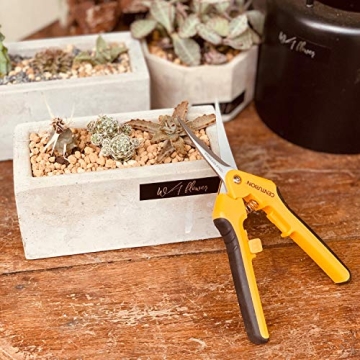 Centurion 201 Hand Pruner Pruning Shear Straight & Upward Curved Stainless Steel Blade Precision Snip (Yellow, 6.5 Inch, Set of 2)