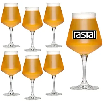 Rastal Teku Craft Beer Glasses Set of 6 - 14.2oz