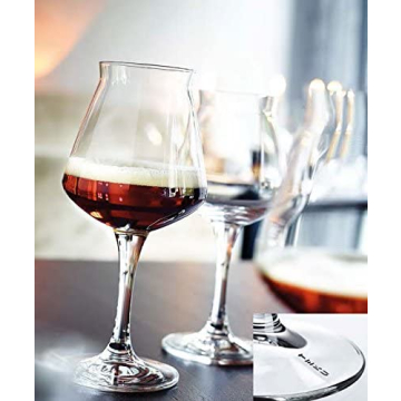 Rastal Teku Craft Beer Glasses Set of 6 - 14.2oz