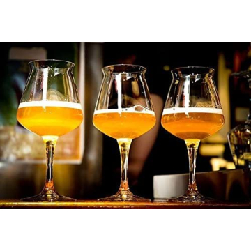 Rastal Teku Craft Beer Glasses Set of 6 - 14.2oz