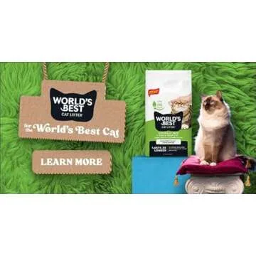World's Best Cat Litter for Easy Cleanup and Odor Control