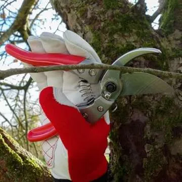ARS HP-VS8Z Signature Heavy Duty Pruner with Ergonomic Grip - Ideal for Gardeners