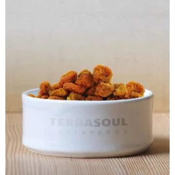Terrasoul Organic Golden Berries - Healthy Snack Delight