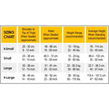 RideSafer Extra Large Lightweight Portable Car Seat