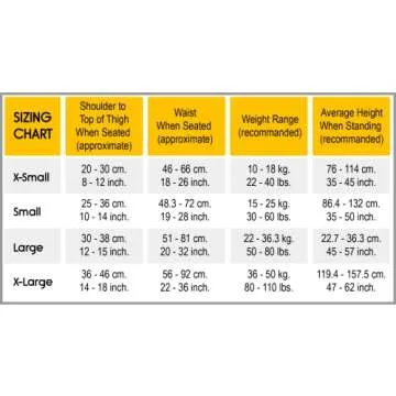 RideSafer Extra Large Lightweight Portable Car Seat