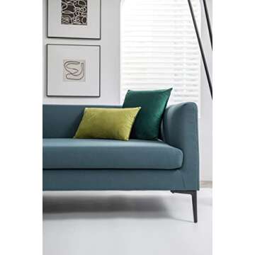 DEZENE Decorative Pillow Covers 18x18 Green: 2 Pack Cozy Soft Velvet Square Throw Pillow Cases for Farmhouse Home Decor