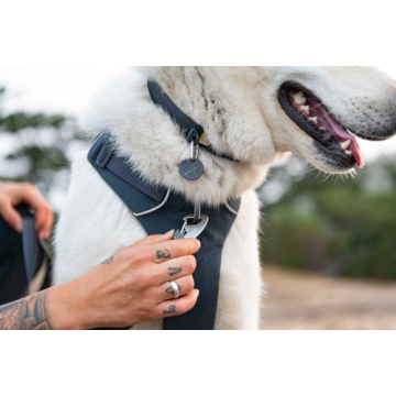 RUFFWEAR Front Range Dog Collar for Comfortable Adventures