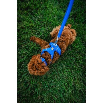 RUFFWEAR Front Range Dog Collar for Comfortable Adventures