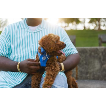 RUFFWEAR Front Range Dog Collar for Comfortable Adventures