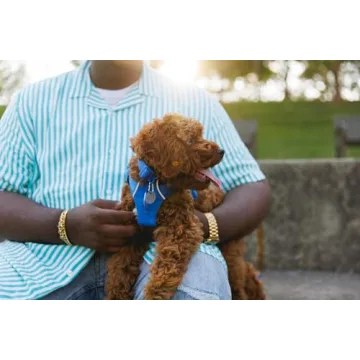 RUFFWEAR Front Range Dog Collar for Comfortable Adventures