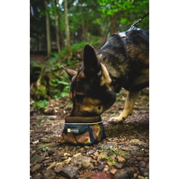 RUFFWEAR Front Range Dog Collar for Comfortable Adventures