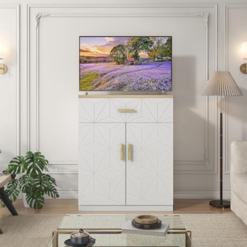 Saudism 20 Gallon Fish Tank Stand with Charging Station