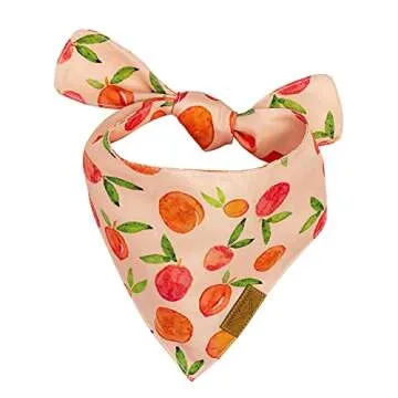 Shop Stylish Remy+Roo Large Spring Dog Bandanas Online