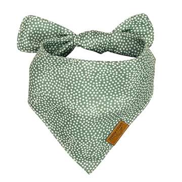 Shop Stylish Remy+Roo Large Spring Dog Bandanas Online