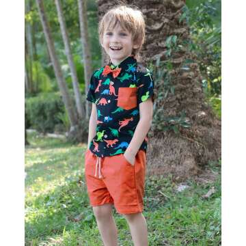 Little Boy Dinosaur Shirts & Summer Outfit Sets
