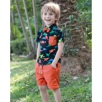 Little Boy Dinosaur Shirts & Summer Outfit Sets