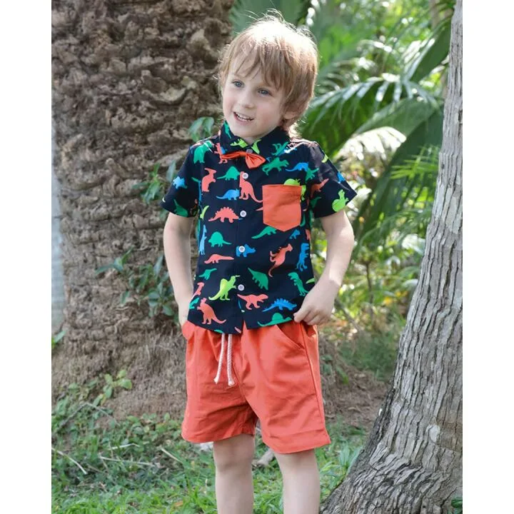Little Boy Dinosaur Shirts & Summer Outfit Sets