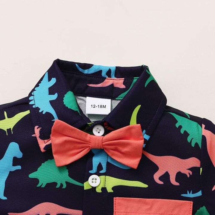 Little Boy Dinosaur Shirts & Summer Outfit Sets